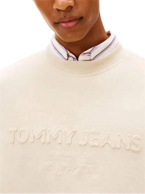 Felpa girocollo con logo Tommy Jeans | DM0DM22363ABY